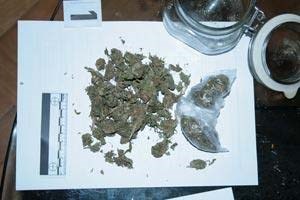 Slika PU_BB/slike vijesti/Mljevena marihuana.jpg